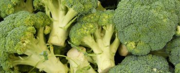 broccoli-thyroid