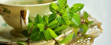 green-tea