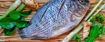 do-not-eat-tilapia