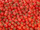 tomatoes-glowing-skin